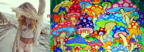 мяу мяу кристалл Магас