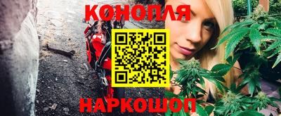 хмурый Гатчина