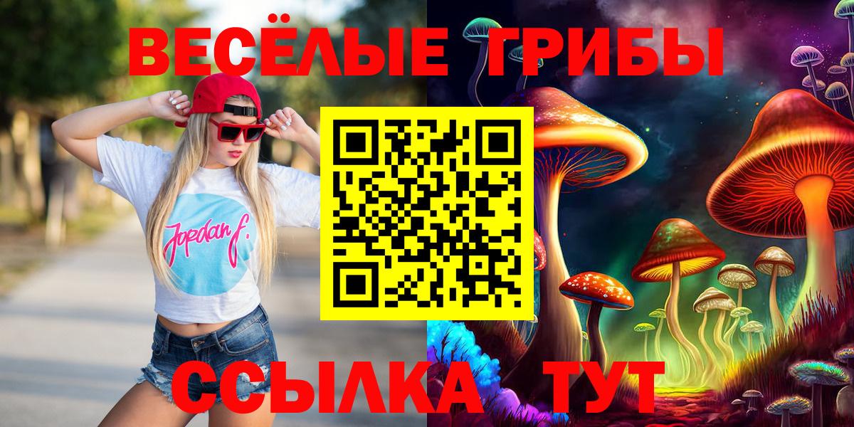 Галлюциногенные грибы Psilocybe Урай